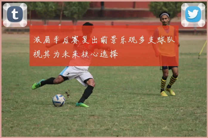 浓眉季后赛复出前景乐观多支球队视其为未来核心选择